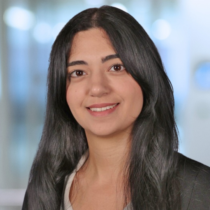 Azza Raslan Contact Top Bronx Urologist | Danna Raslan, MD